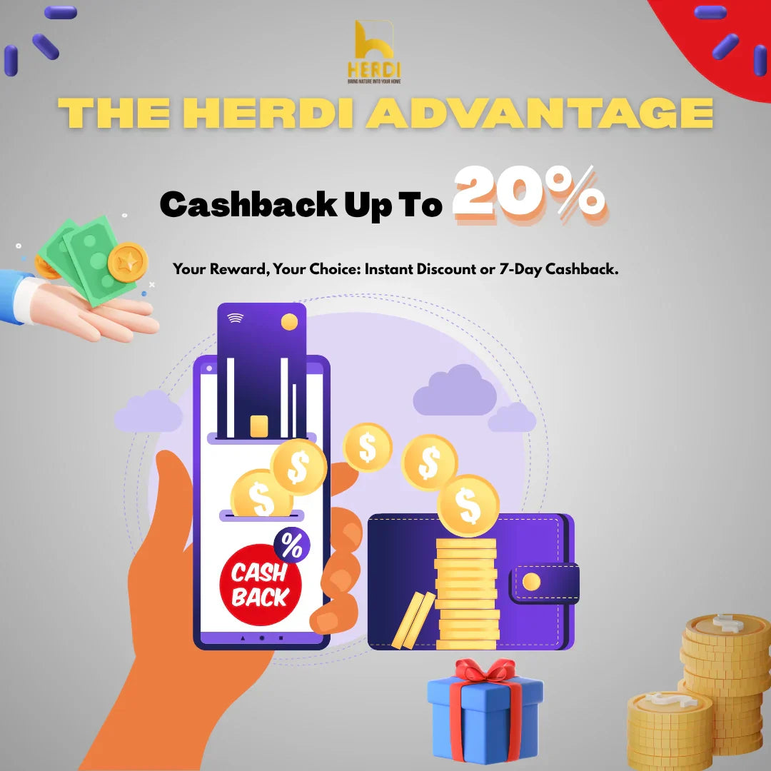 Cash in a Flash: How Instant Reward Payouts Are Changing the Game